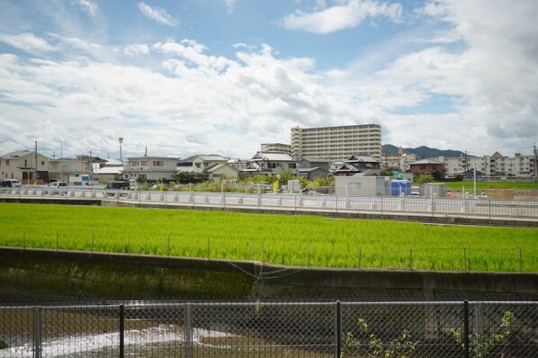 紀伊駅 徒歩13分 1階の物件内観写真